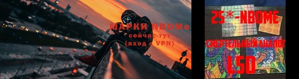 стаф Алзамай