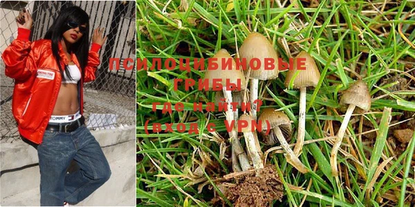 каннабис Алексеевка