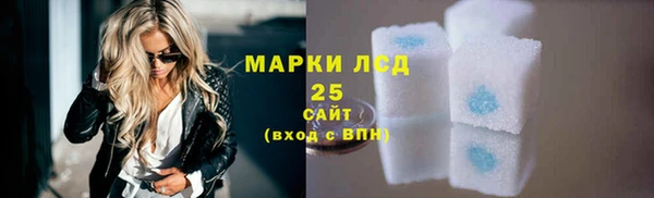 стаф Алзамай