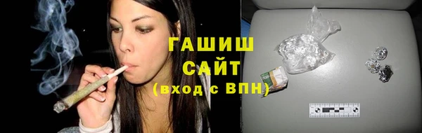 стаф Алзамай