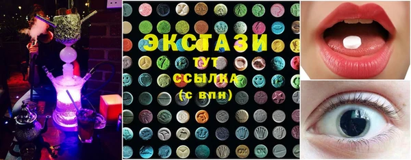 стаф Алзамай