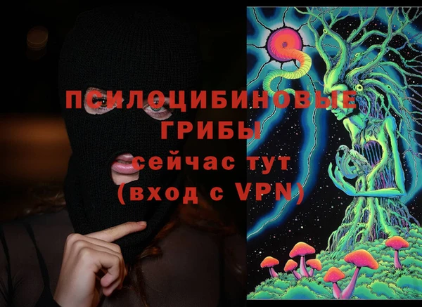 ешки Алексин