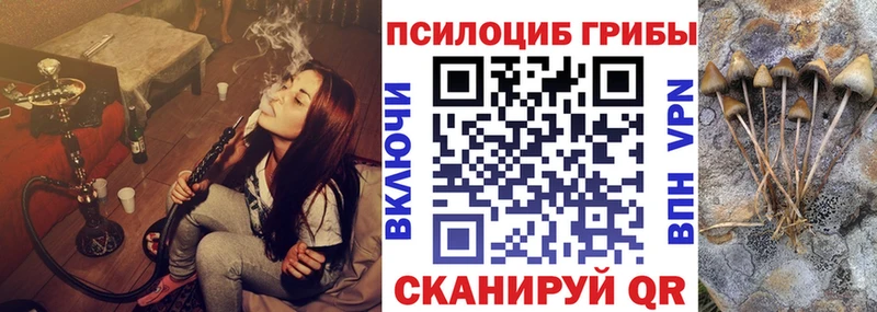 Галлюциногенные грибы GOLDEN TEACHER Десногорск